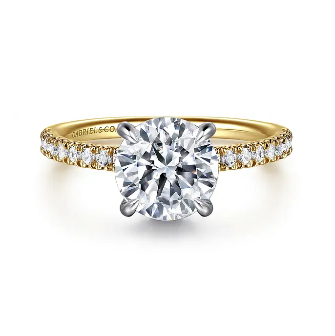 Allison - 14K Yellow-White Gold Round Hidden Halo Diamond and Engagement Ring