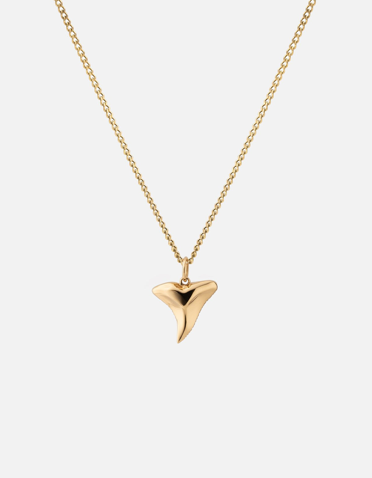 Shark tooth necklace 2025