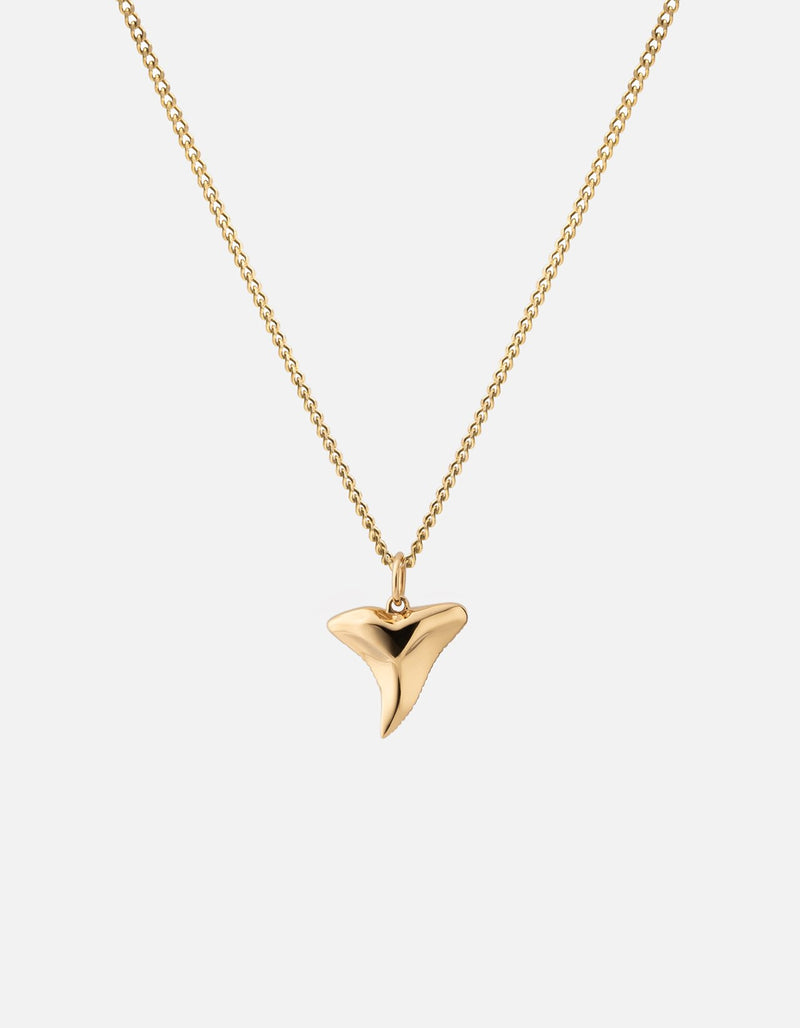Shark Tooth Necklace, Gold Vermeil, Polished 24"