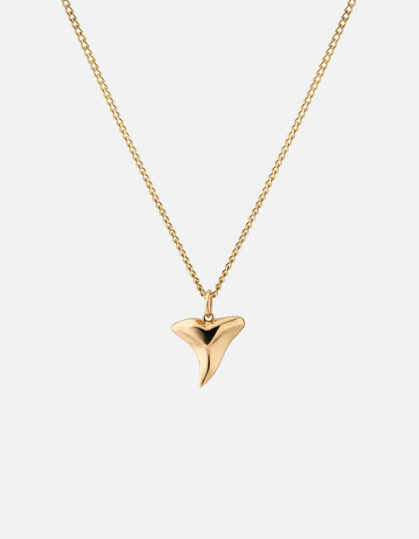 Shark tooth pendant necklace store