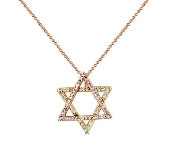 14K Two-Tone Star of David Necklace